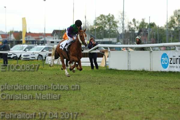 ET0Q0827 prot